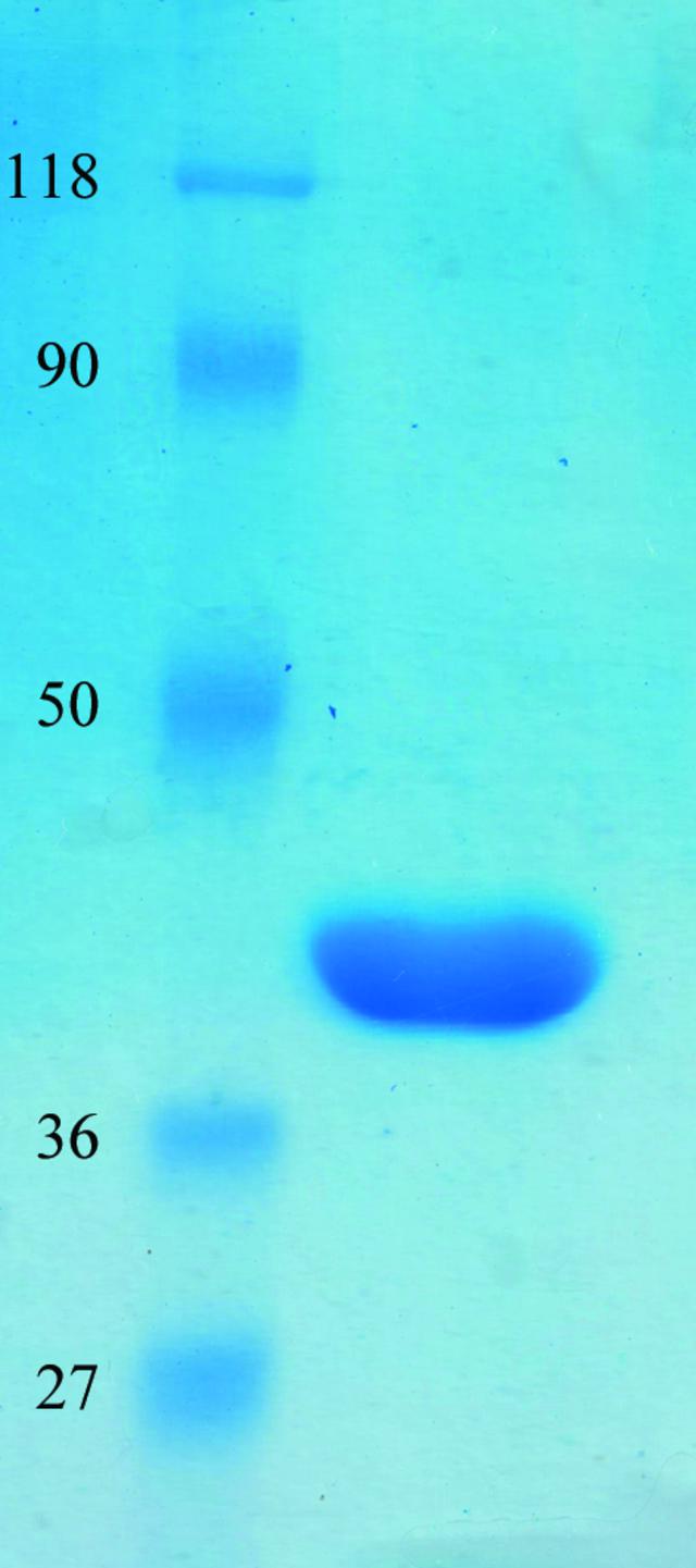 [Figure 2]
