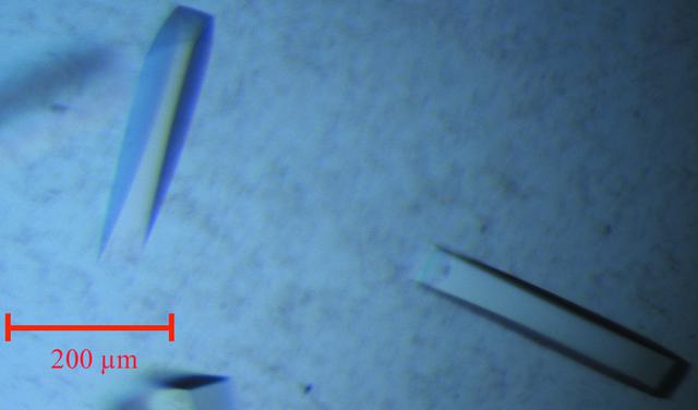 [Figure 3]
