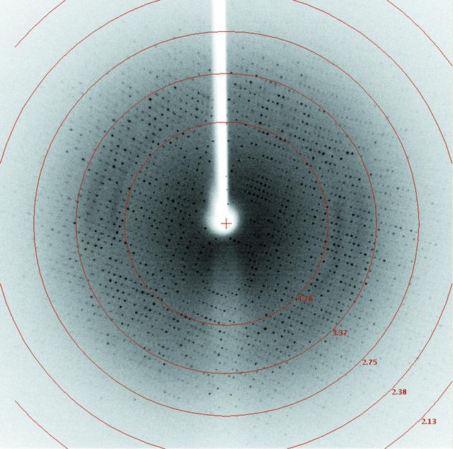 [Figure 4]