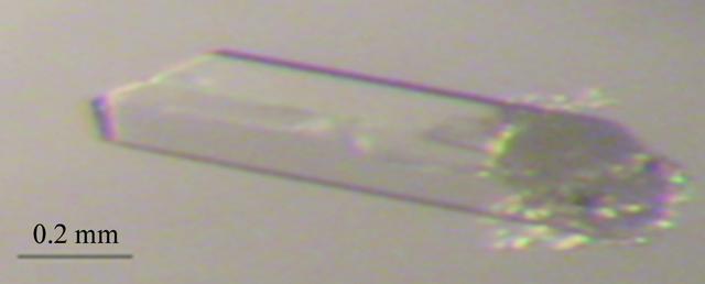 [Figure 2]