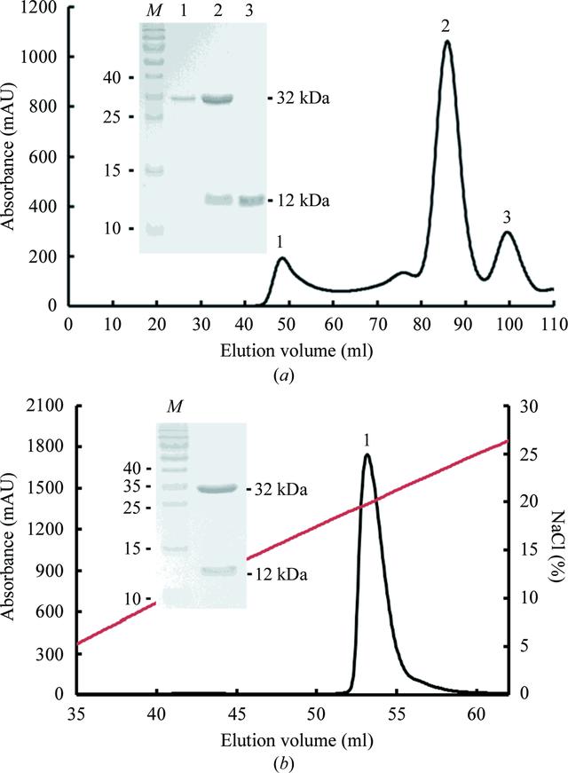 [Figure 1]