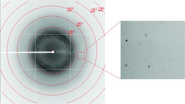 [Figure 3]
