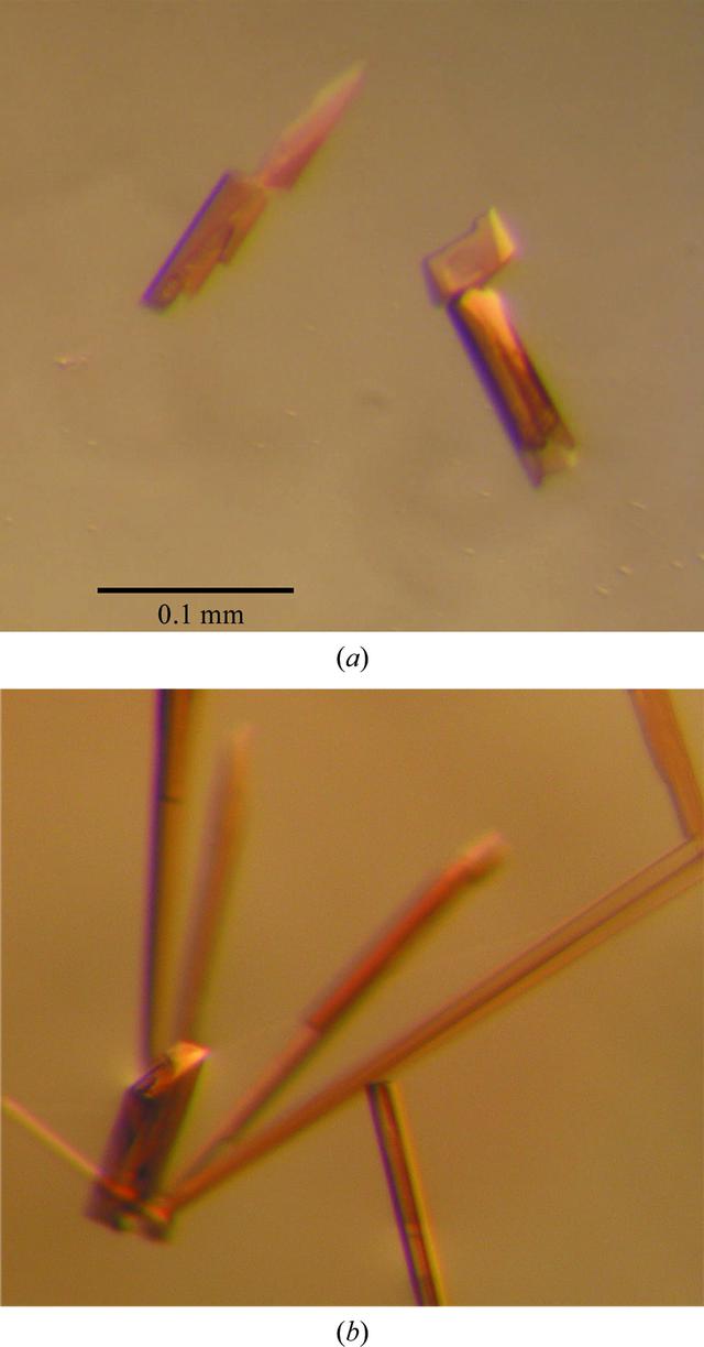 [Figure 2]
