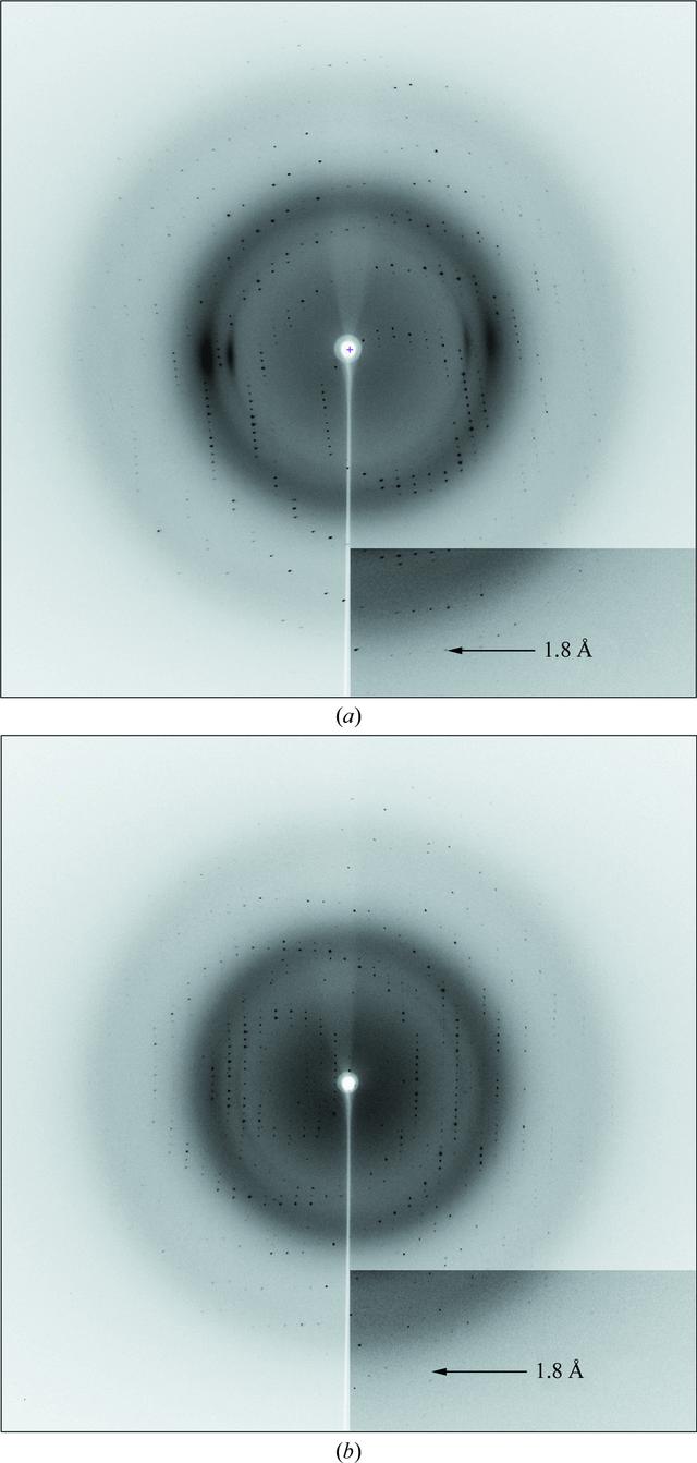 [Figure 3]