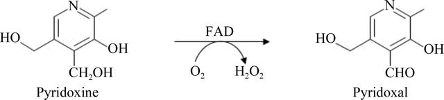 [Figure 1]