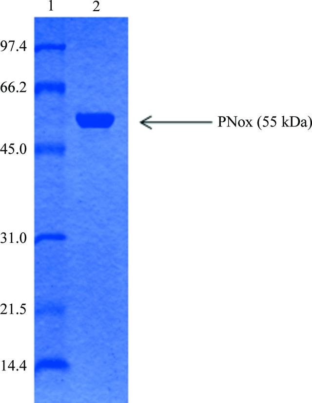 [Figure 2]