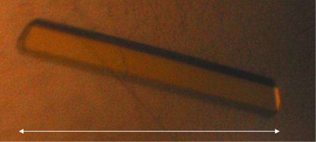 [Figure 3]