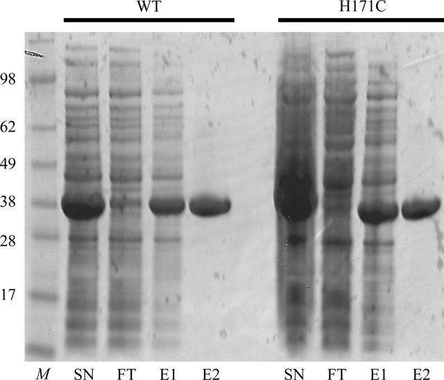 [Figure 1]