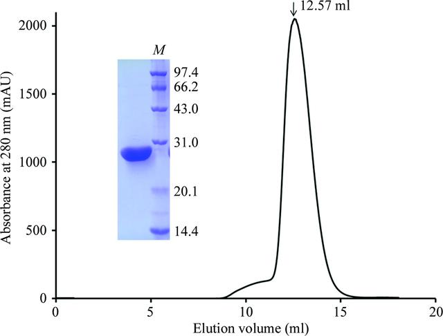 [Figure 1]