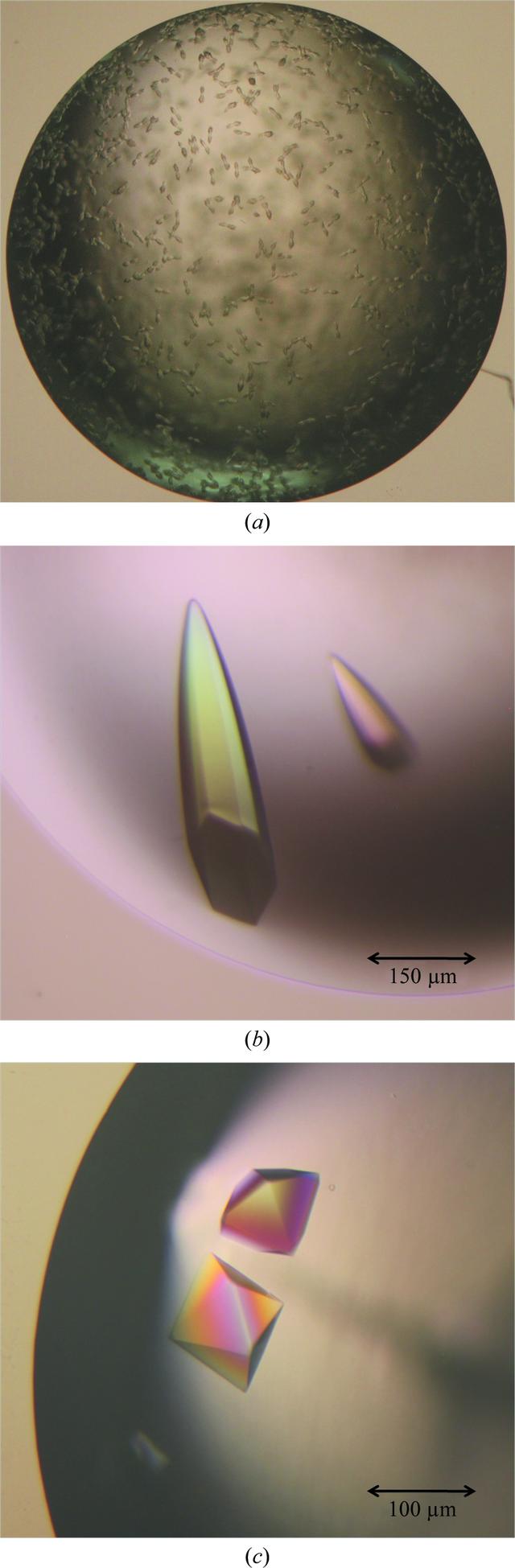 [Figure 2]