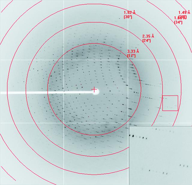 [Figure 3]