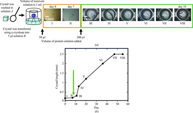 [Figure 1]