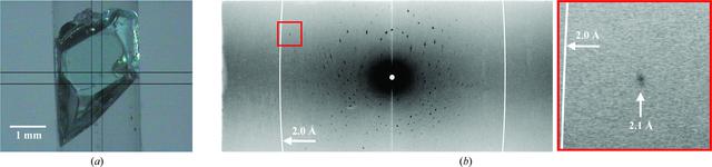 [Figure 2]