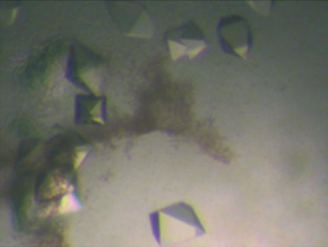 [Figure 1]