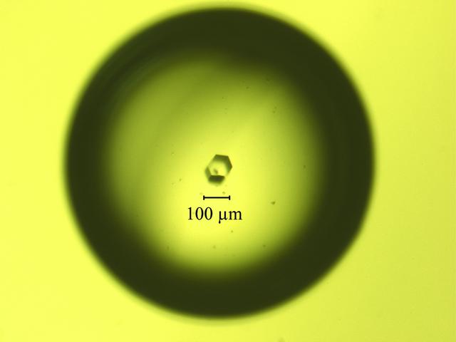 [Figure 1]