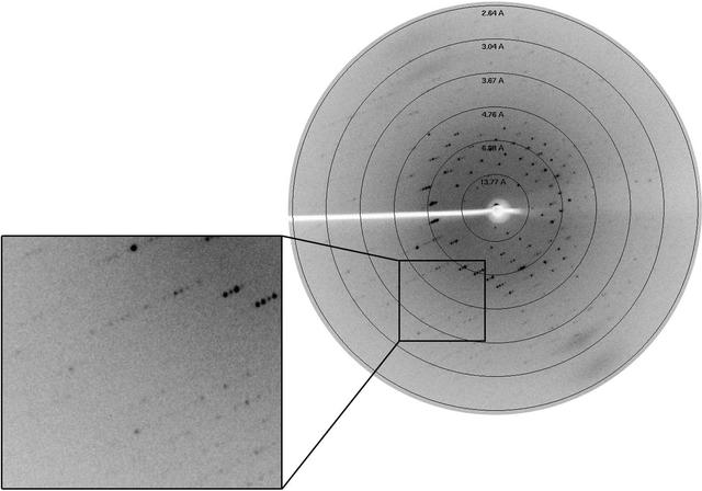 [Figure 2]