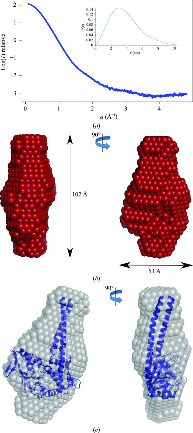 [Figure 1]