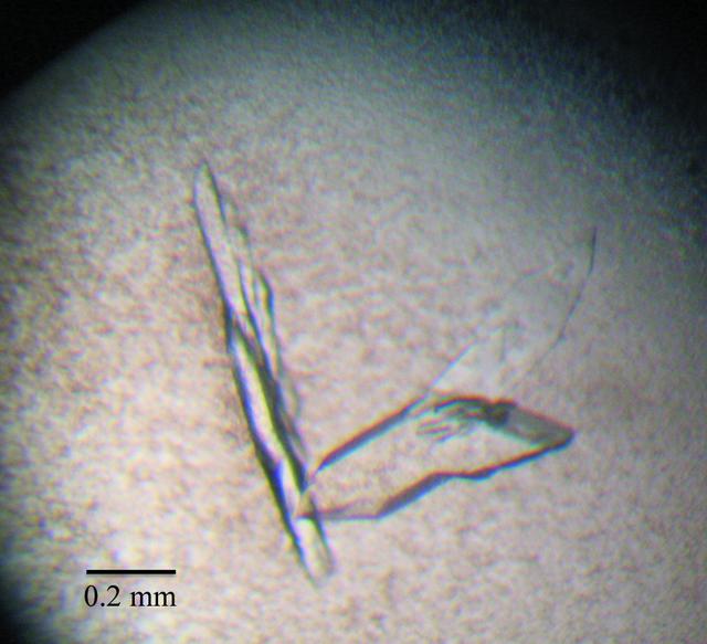 [Figure 1]