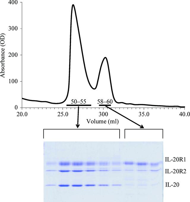 [Figure 2]