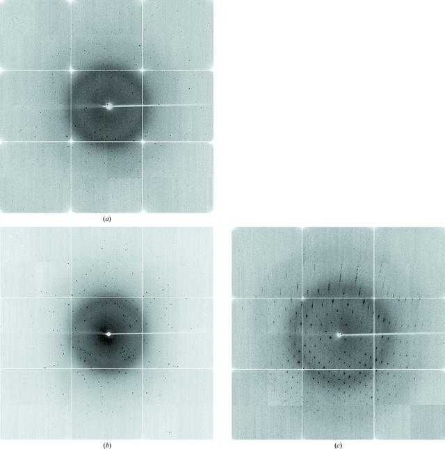 [Figure 2]