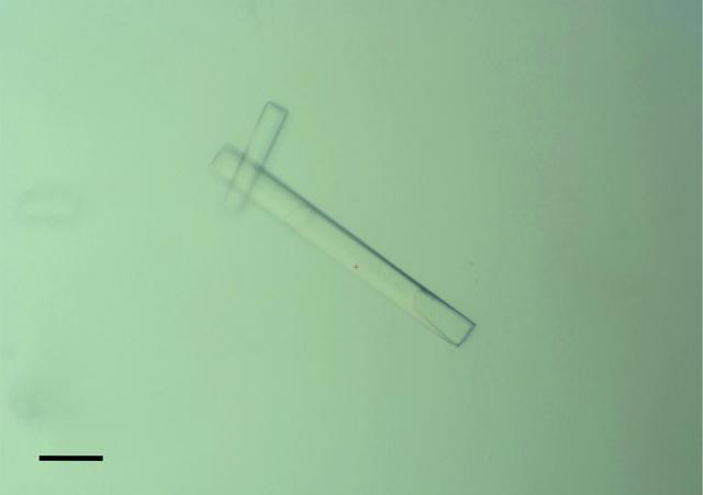 [Figure 1]