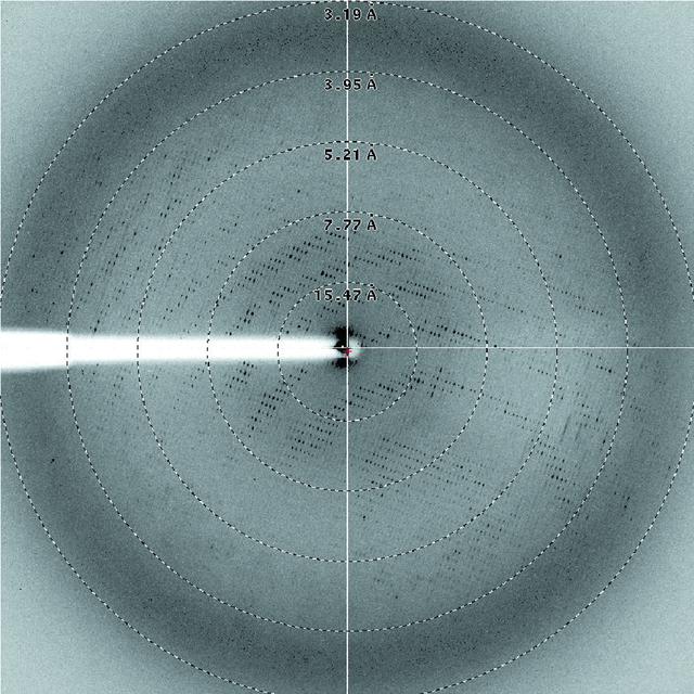 [Figure 2]