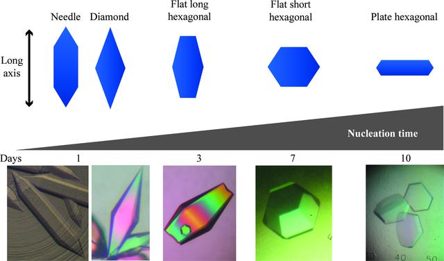 [Figure 1]