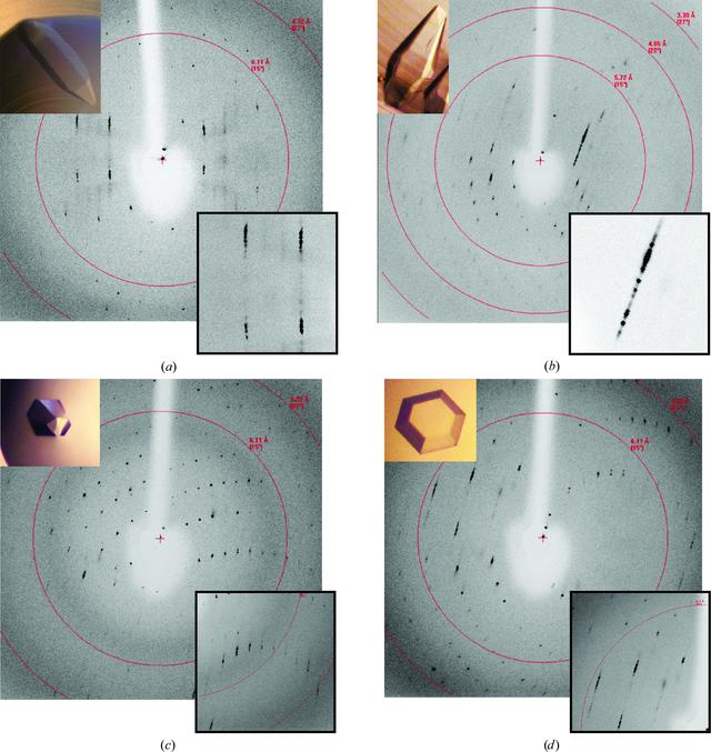 [Figure 2]