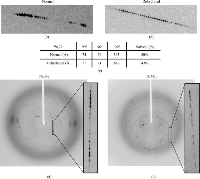 [Figure 3]