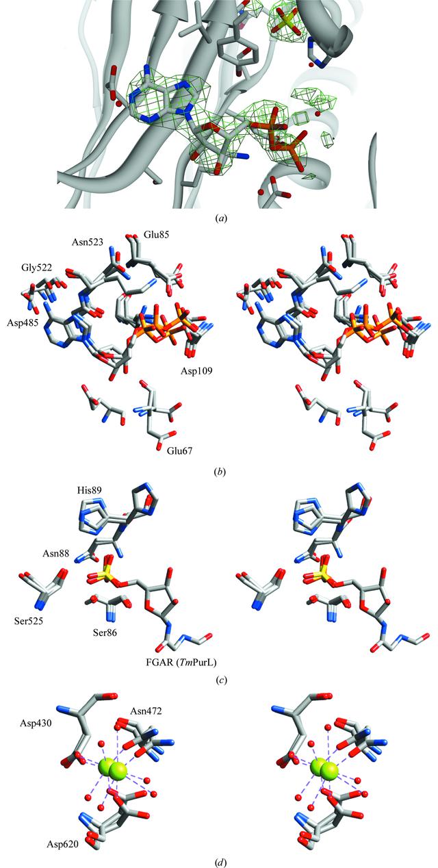 [Figure 4]