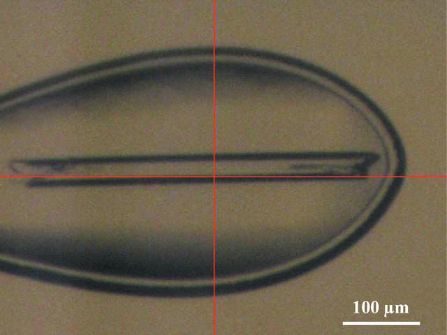 [Figure 2]