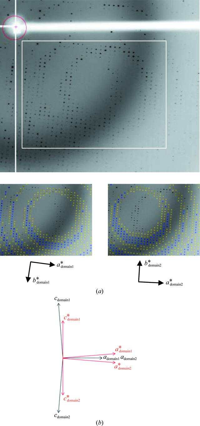 [Figure 3]