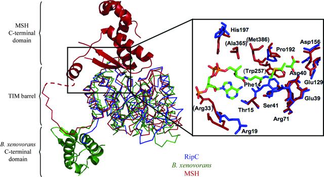 [Figure 3]