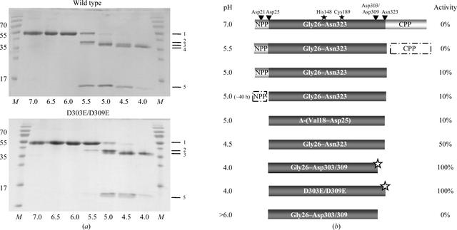[Figure 1]