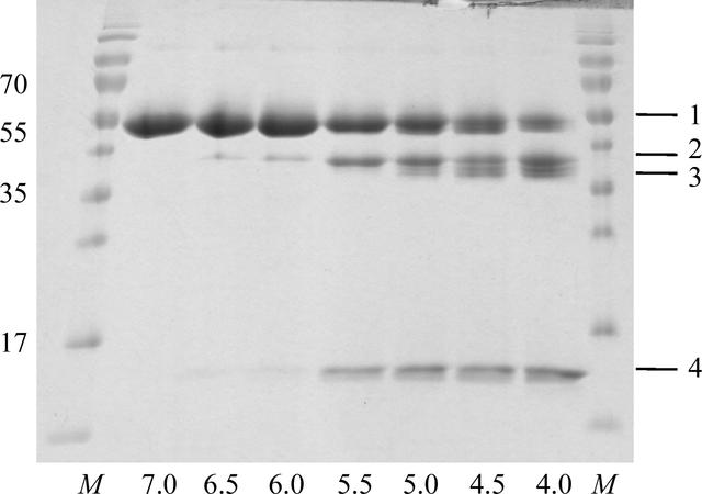 [Figure 3]