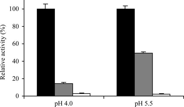 [Figure 5]