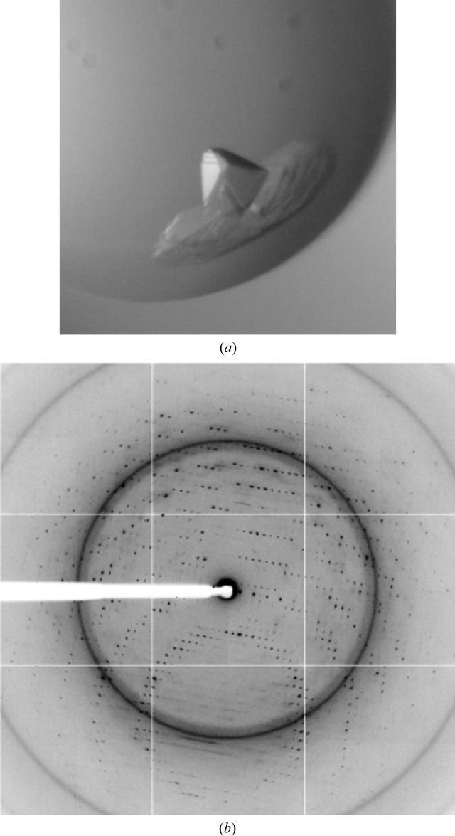 [Figure 7]