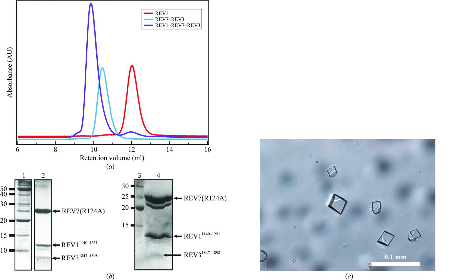 IUCr Crystallization And X Ray Diffraction Analysis Of The Ternary