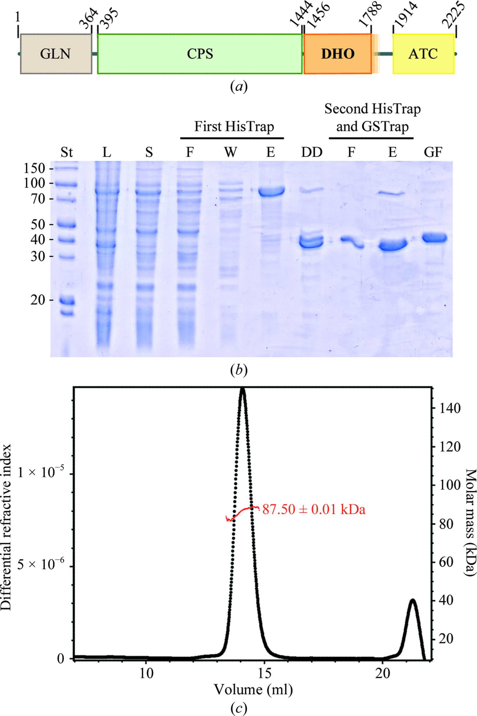 Iucr Expression Purification Crystallization And Preliminary X Ray