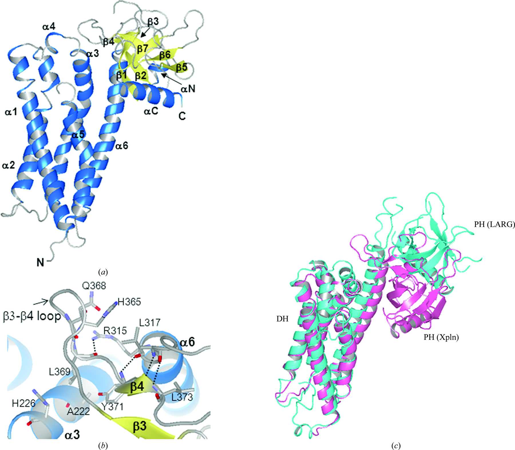 IUCr Structure Of The Rho Specific Guanine Nucleotide Exchange Factor