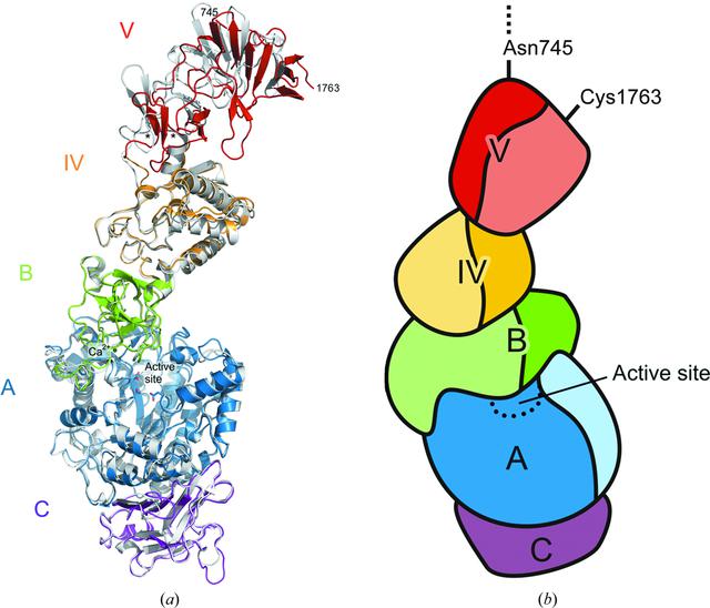 [Figure 4]