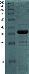 [Figure 1]