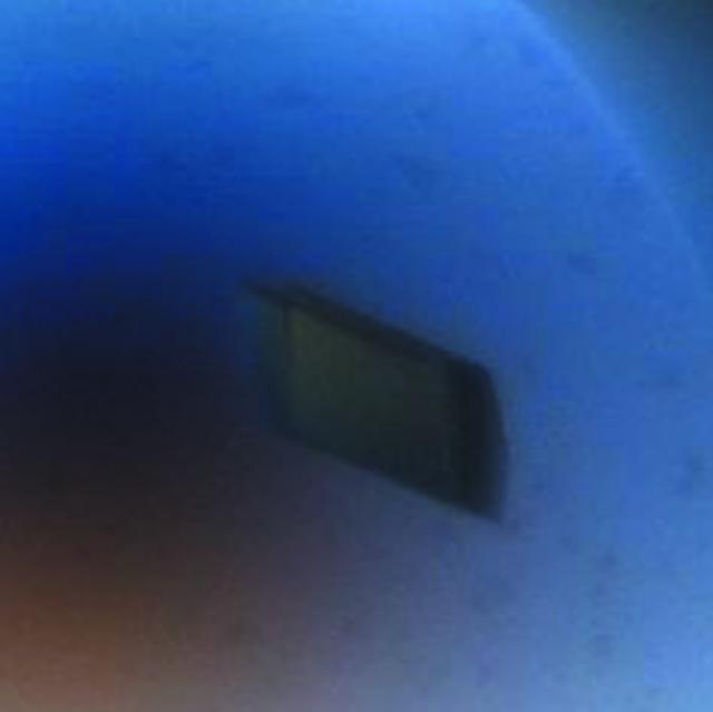 [Figure 2]