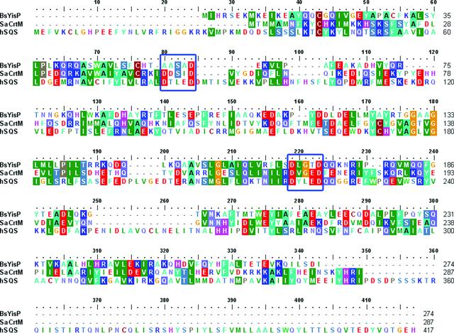 [Figure 1]