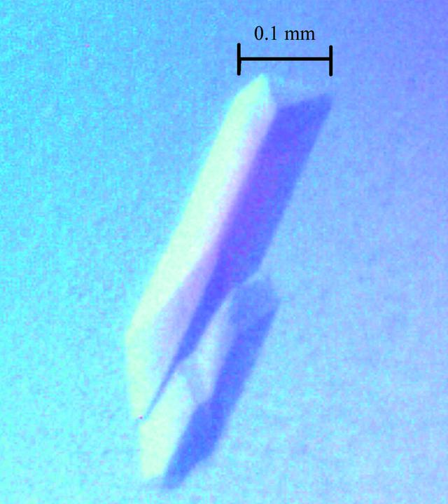 [Figure 2]