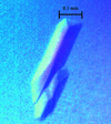 [Figure 2]