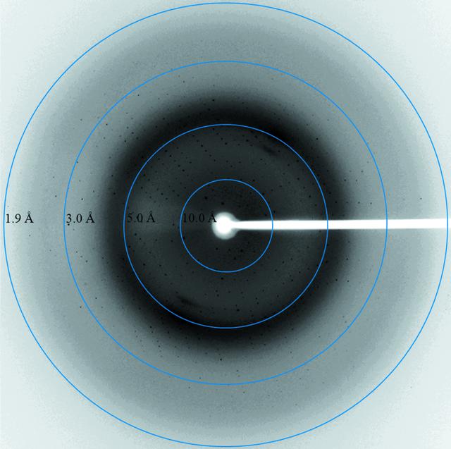 [Figure 3]
