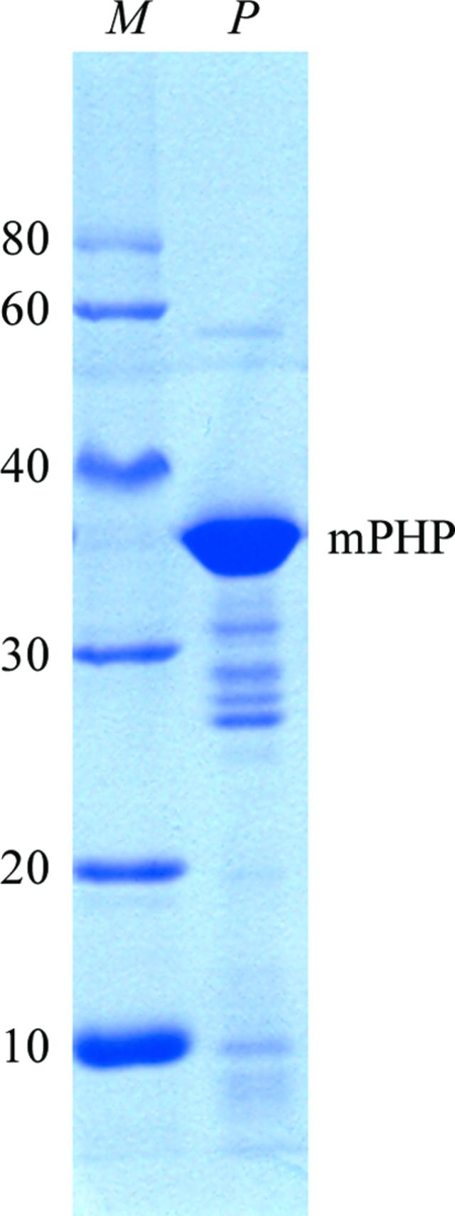 [Figure 2]