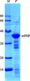 [Figure 2]
