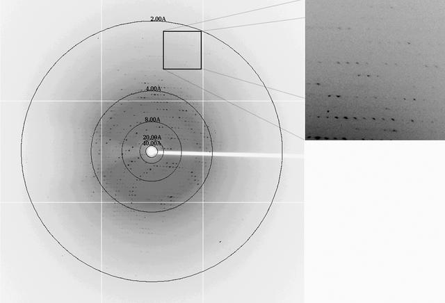[Figure 4]